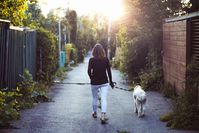 Imagen sobre el tema de la mujer camina con perro.