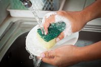 Imagen sobre el tema de lavar los platos con una esponja