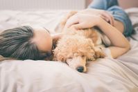 Imagen sobre el tema de la mujer caricias con perro en la cama